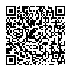 SolutionWeHave virus Code QR