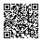 malware Stealc Code QR