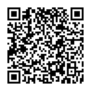 golpe de phishing Surplus Profit Code QR