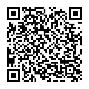 vírus SynkLoader Code QR