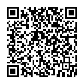 Trojan.Hulk virus Code QR