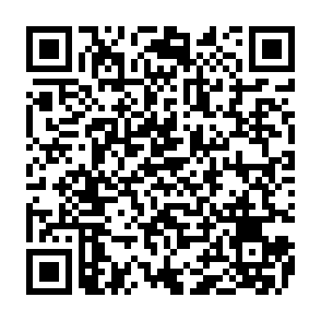 Ladrão de informações Ultimate Code QR