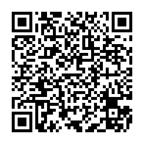 VantaBlack virus Code QR