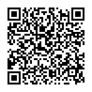 Anúncios por vantanetworktin.com Code QR