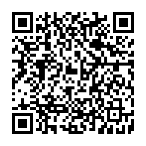 VoidStealer programa de roubo de informações Code QR
