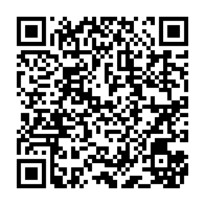 Vírus Vricpe Code QR