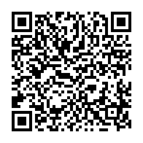 White Lock virus Code QR