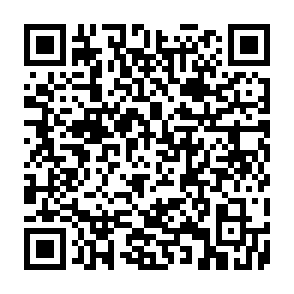 WormLocker virus Code QR