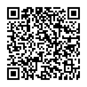 XRP Ledger Airdrop drainer de criptomoedas Code QR