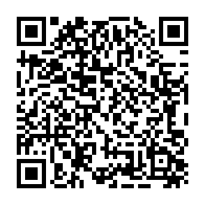 Zarok virus Code QR