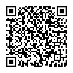 ZuRu porta dos fundos Code QR