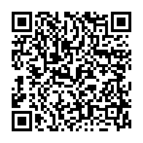 Vírus Zynex Code QR
