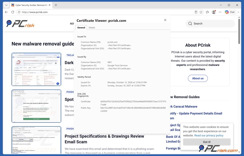 Detalhes do certificado SSL no Microsoft Edge