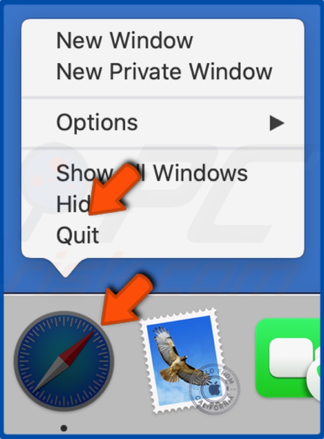 Right-click the Safari icon in the Doc and click Quit