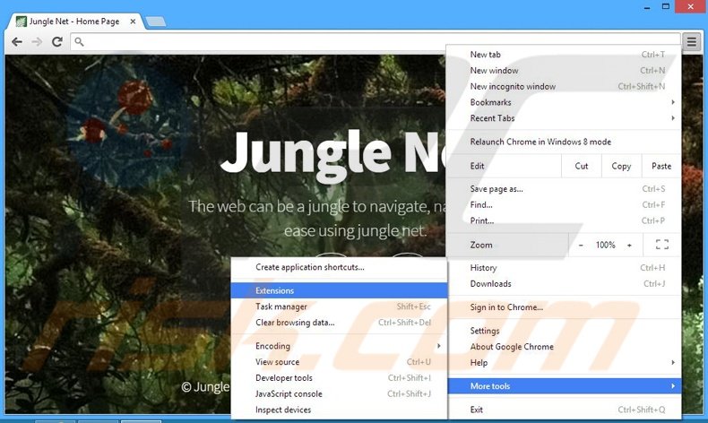 Removendo os anúncios Jungle Net do Google Chrome passo 1