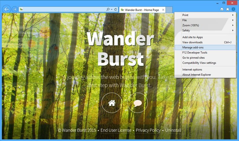 Removendo os anúncios Wander Burst do Internet Explorer passo 1