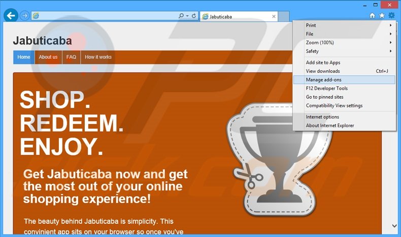 Removendo os anúncios Jabuticaba do Internet Explorer passo 1