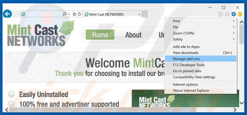 Remover os anúncios Mint Cast Networks do Internet Explorer passo 1
