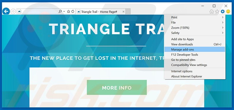 Removendo os anúncios Triangle Trail do Internet Explorer passo 1