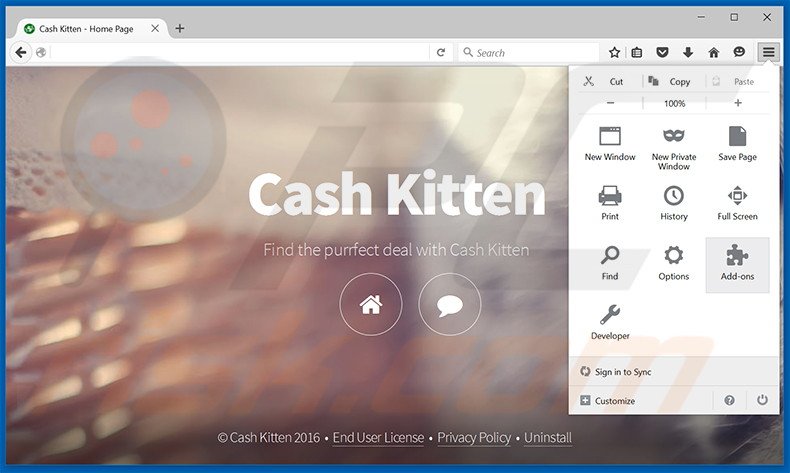 Removendo os anúncios Cash Kitten do Mozilla Firefox passo 1
