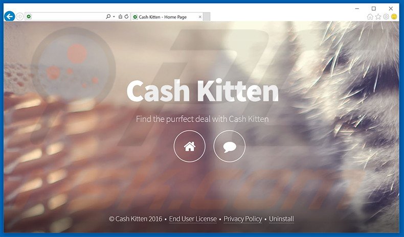 Adware Cash Kitten