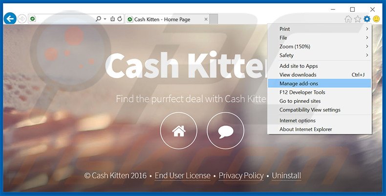 Removendo os anúncios Cash Kitten do Internet Explorer passo 1