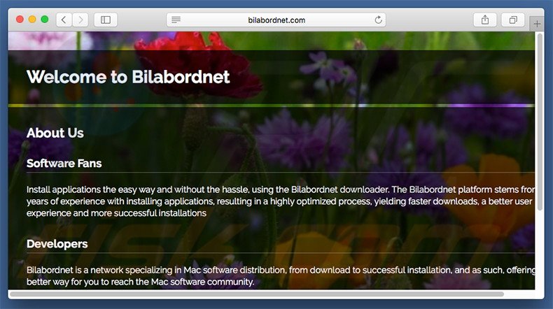 Website fraudulento usado para promover search.bilabordnet.com