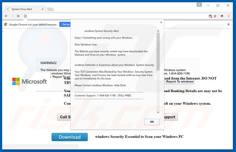 Adware Windows Security Alert 