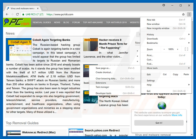 Remova os anúncios Chameleon Explorer Pro do Google Chrome  passo 1.