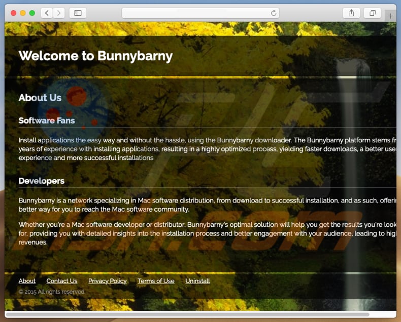 Website fraudulento usado para promover search.bunnybarny.com
