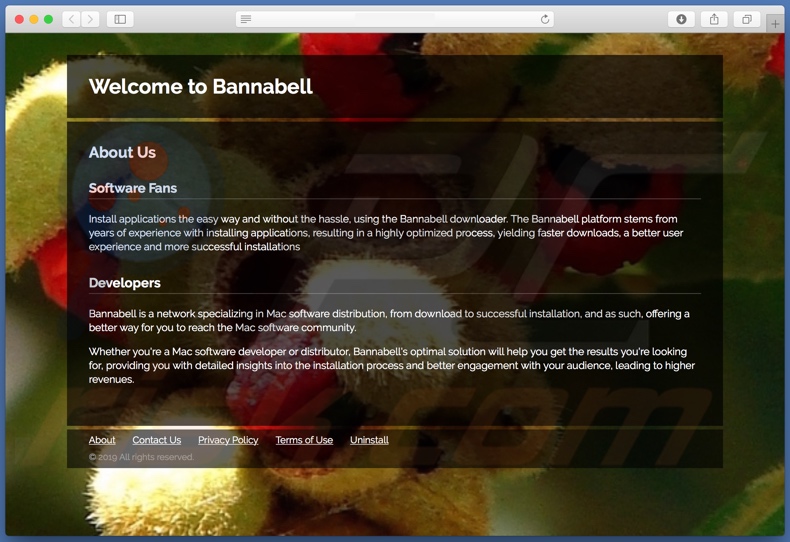 Website fraudulento usado para promover search.bannabell.com