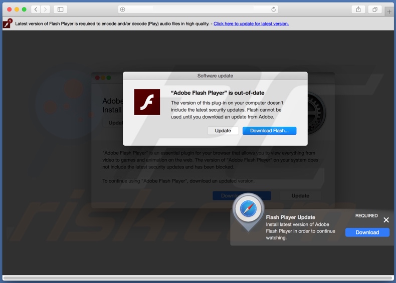 Adobe Adobe