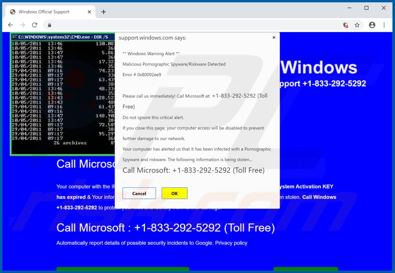 segundo pop-up Microsoft Protected Your Computer