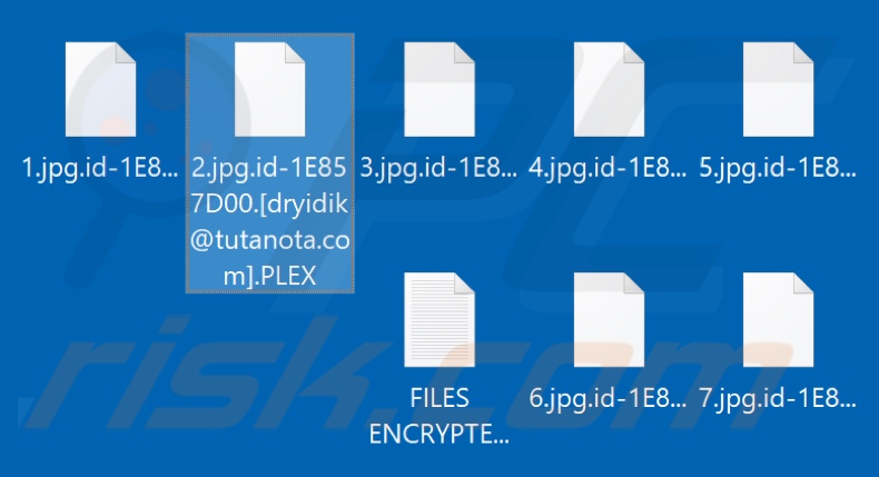 Ficheiros encriptados pelo ransomware  PLEX (extensão .PLEX)