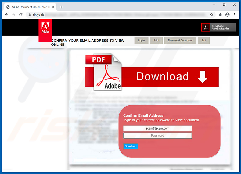 Informacoes Iniciais Cliente Digisac PDF, PDF, Spamming