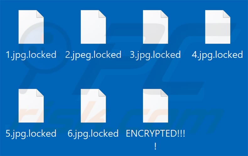 ficheiros encriptados pelo ransomware Chaos (
