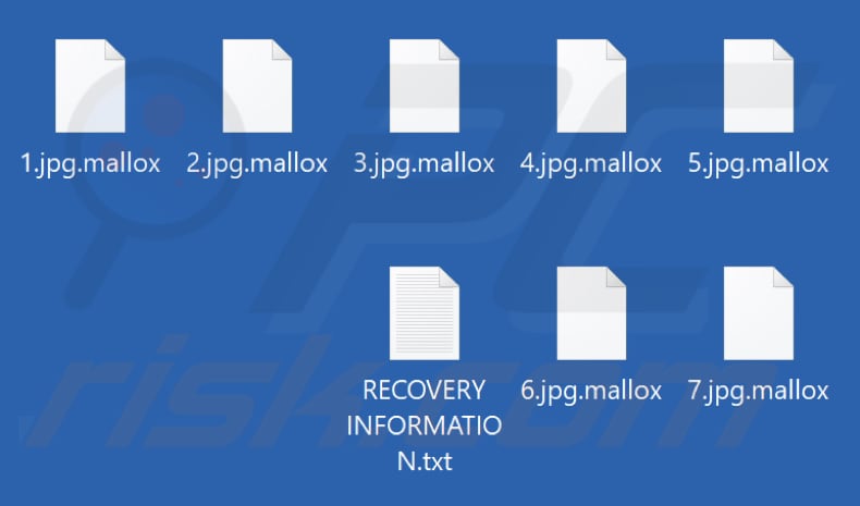 Ficheiros encriptados pelo ransomware Mallox (extensão .mallox)