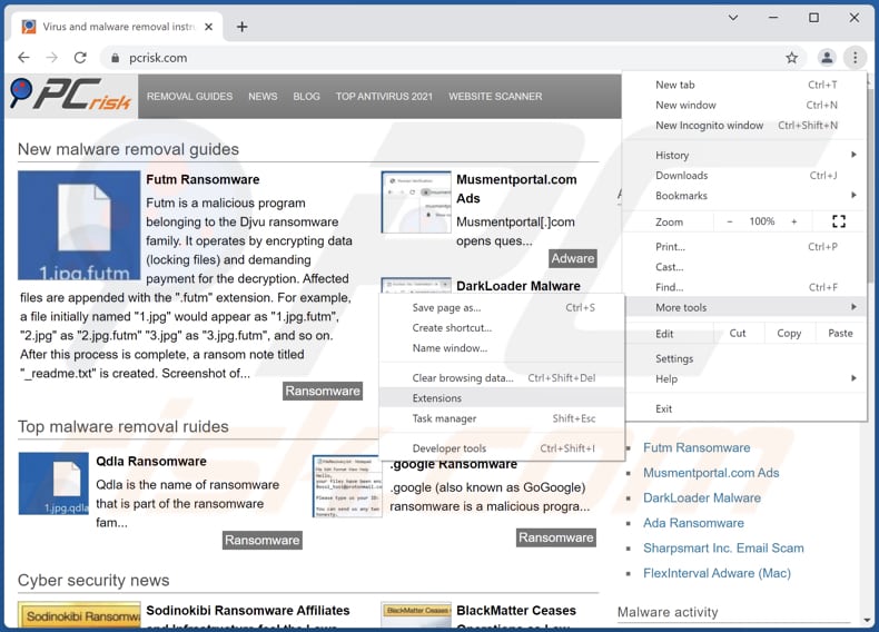 Remoção das extensões fraudulentas do Internet Explorer passo 1