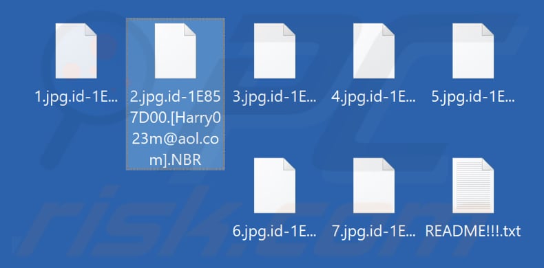Ficheiros encriptados pelo ransomware NBR (extensão .NBR)