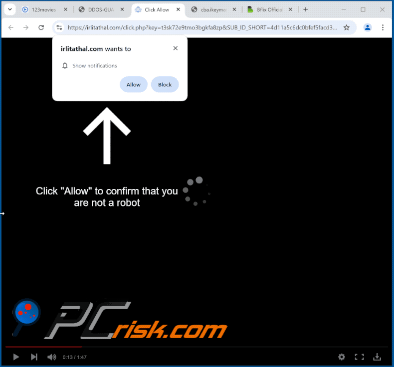 irlitathal[.]com sítio Web aparência (GIF)