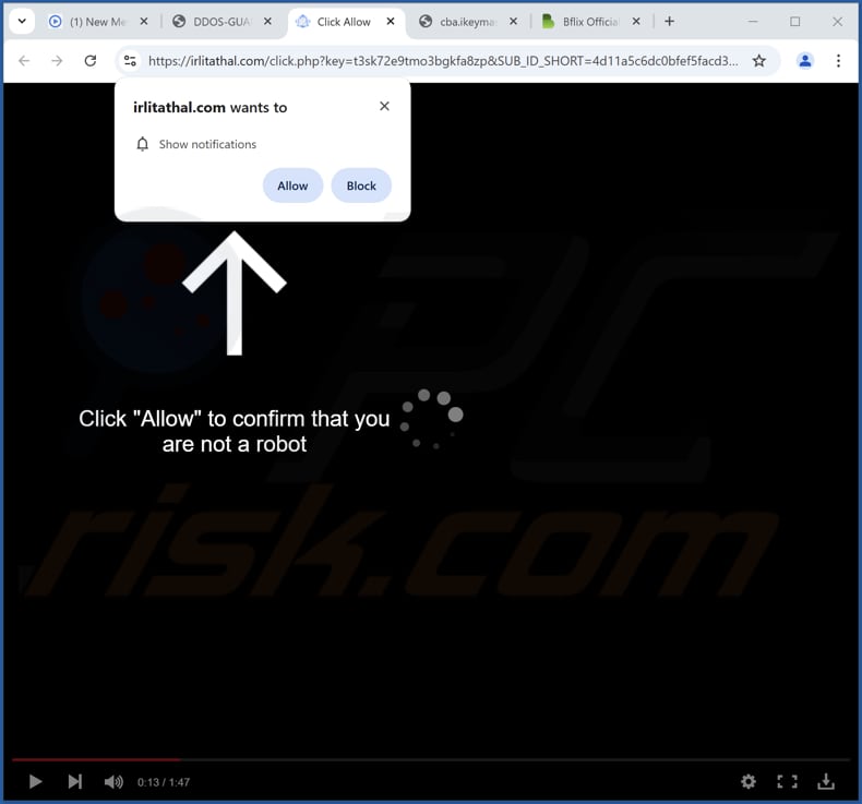 irlitathal[.]com anúncios