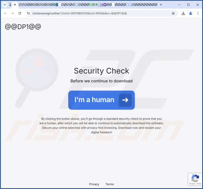 Sítio Web utilizado para promover a PrivateBrowsing PUA