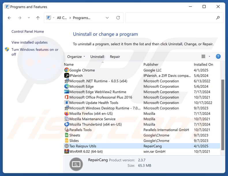 Tao Raiqsuv Utils desinstalar via Control Panel