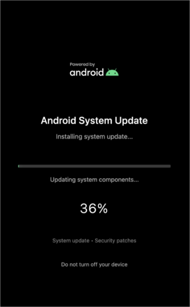 Sturnus ecrã do trojan bancário a ocultar o fundo (fonte threatfabric.com)