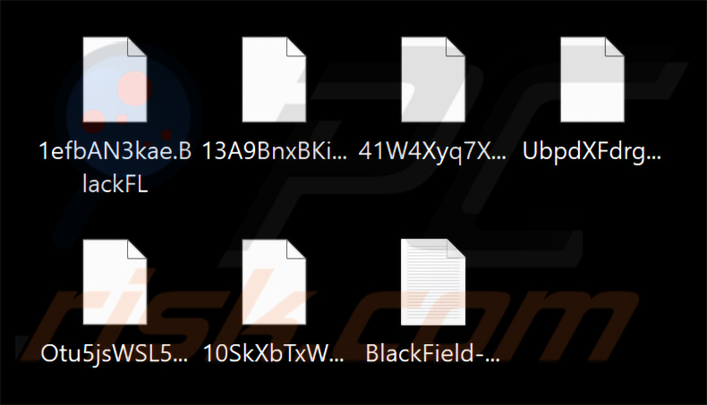 Ficheiros encriptados por BlackFL (BlackField) (2026-02-11)