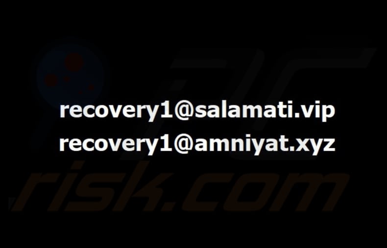 Bear ransomware papel de parede