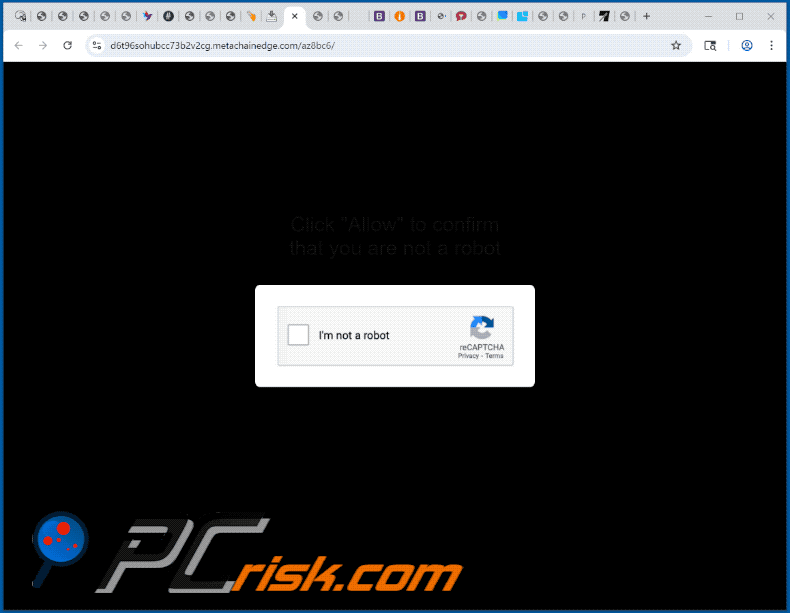 metachainedge[.]com site aparência (GIF)