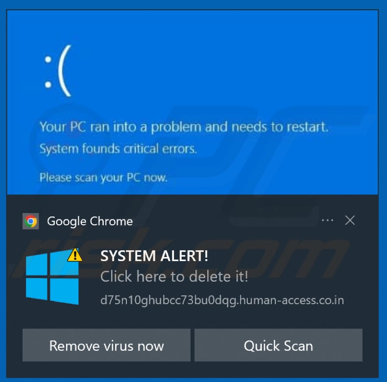 human-access.co[.]in notificação