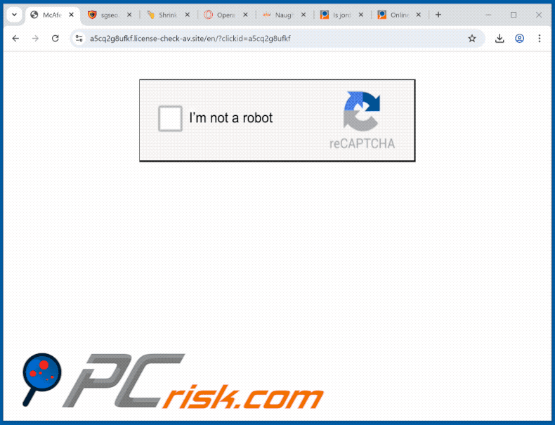 aparência do site license-check-av[.]site (GIF)