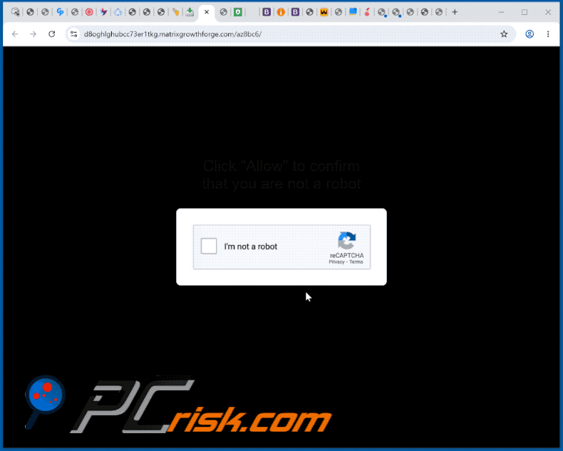 aparência do site matrixgrowthforge[.]com (GIF)